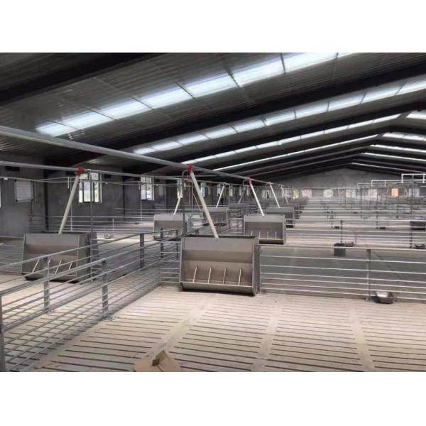 Hygienic Livestock Farm Equipment Galvanized Steel Fattening Pigs Cage