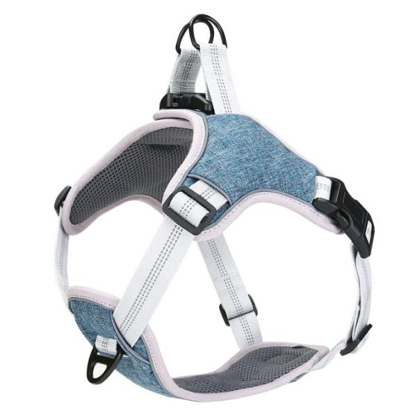 Котята регулируемых котов поводка проводки любимца больших мягкие возлагают с отражательной прокладкой