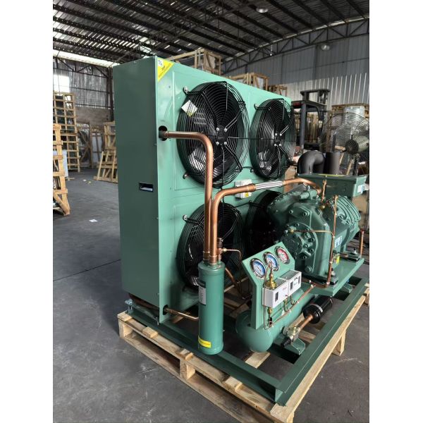 Factory Price 30Hp Compressor Air Cooled Condensing Unit R404a Refrigerant Motor Core Component for Cold Storage Freezing Rooms