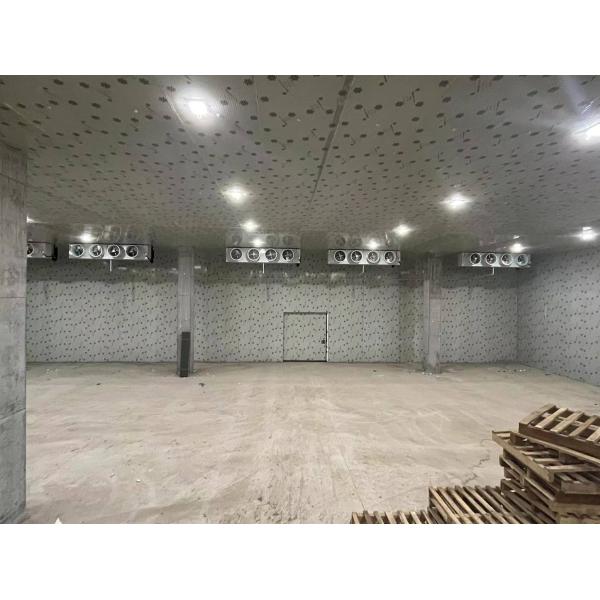 Professional Grade Freezer Cold Room for Safe and Hygienic Storage of Goods