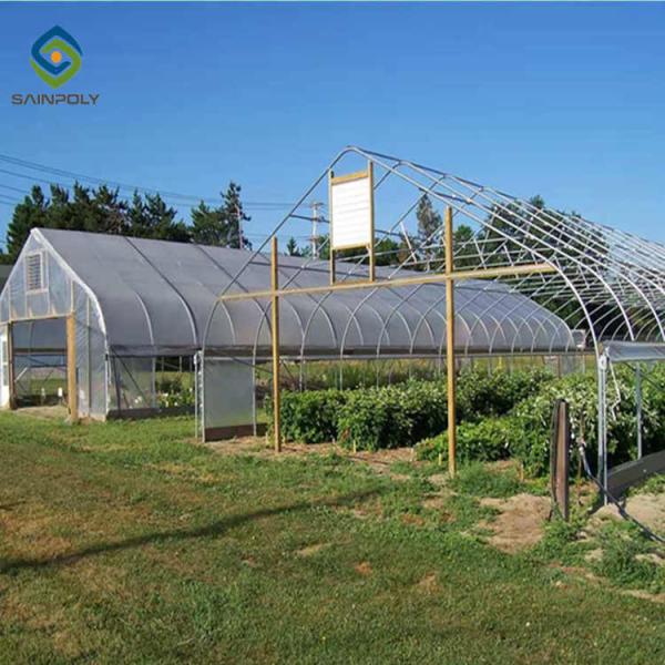 10m Single Span Tunnel Greenhouse With Cooling System
