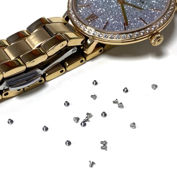 Stainless Steel Ultra Low Profile Watch Screw M0.8x1mm DIN Standard