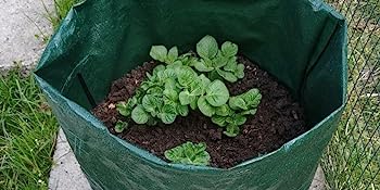 Potato Grow Bags, 4 Pack 10 Gallon With Flap And Handles Planter Pots For Onion, Fruits, Tomato, Carrot - Green