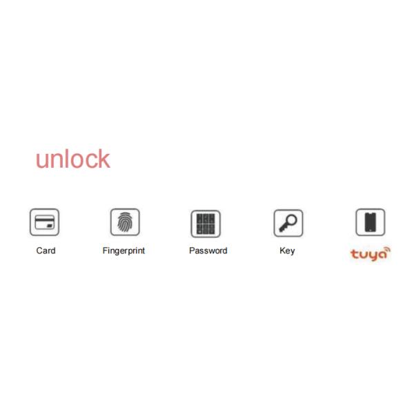 Умный ключ Wifi Интеллектуальный электронный дверной замок безопасности Замок отпечатков пальцев с удаленным управлением Приложение для офиса