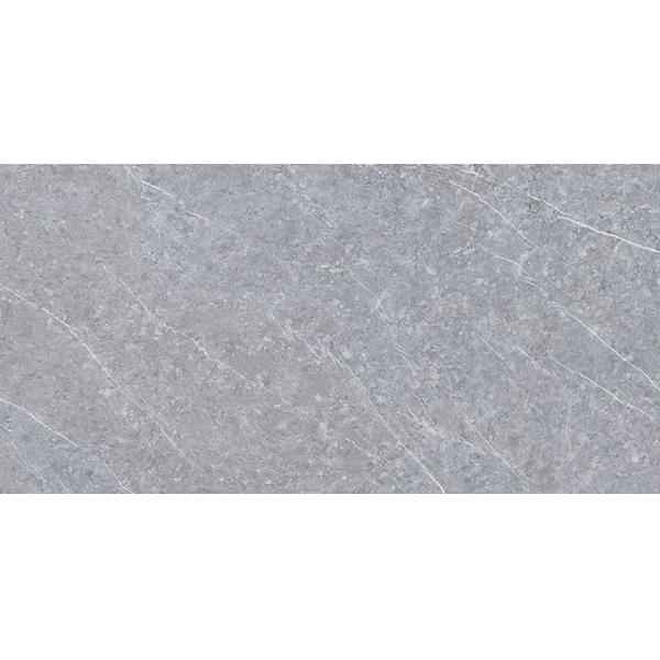 Grey Polished Showroom 1200 X 2400mm Ceramic Floor Tile
