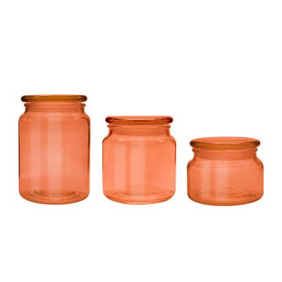 Chá em volta dos multi frascos coloridos do armazenamento do vidro de Borosilicate