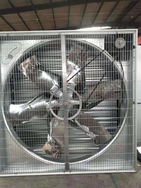 Agricultural Greenhouse Cooling System , Greenhouse Exhaust Fan Wall Fan Mounting
