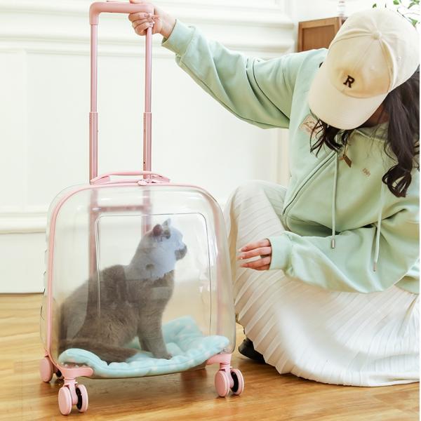 Sac de voyage pour animaux de compagnie en capsule transparente en matériau PC avec roue de chariot, grande capacité, bagage pour chat et chien, support portable transparent