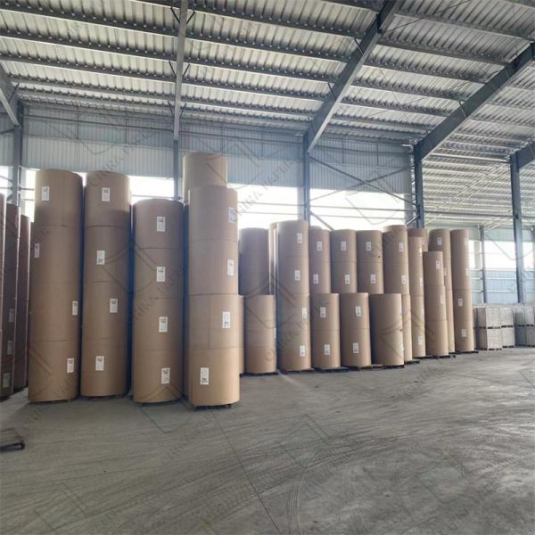 C2s Art Paper 80g 90g 100g Christmas Magazine for Printing and Packaging