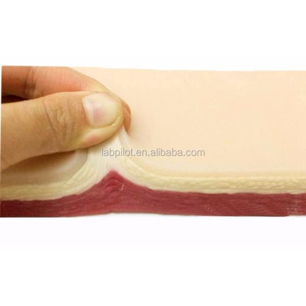 Human Life Size Surgical Suture Practice Skin Simulation Incision Cutting Teaching Kit