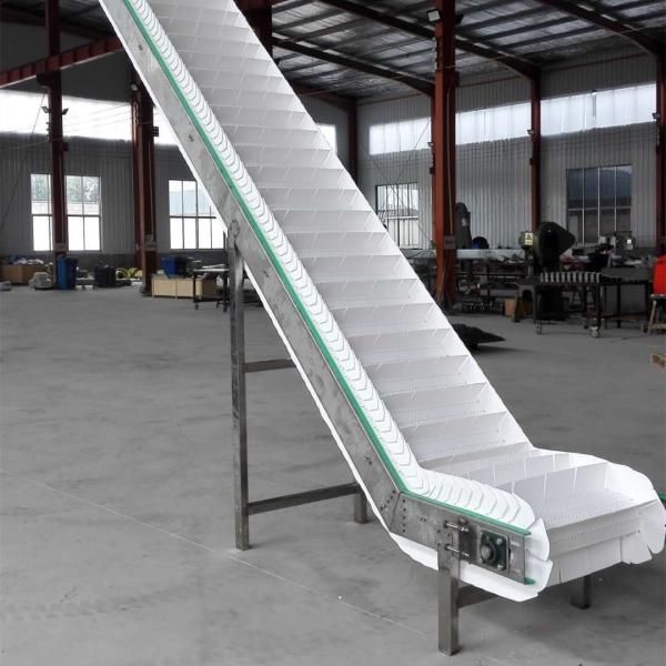                  Palletizing Roller Conveyor for Carton and Bag, with Pallet Magazine             