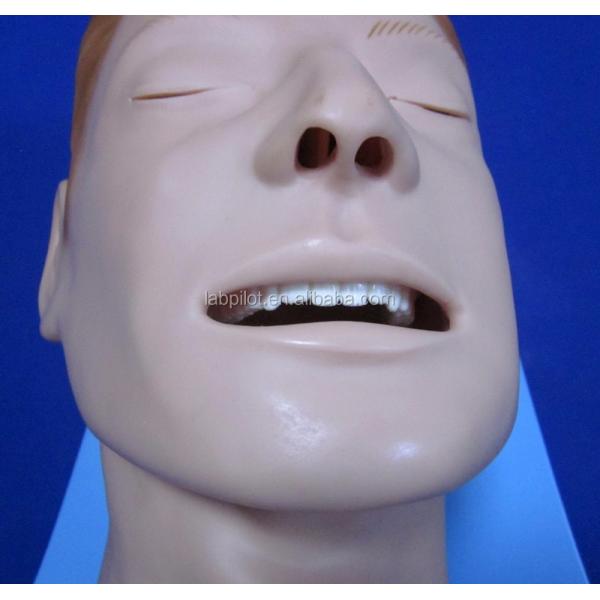 Vivid Anatomy Intubation Head for Electronic Multi-functional Airway Management Model