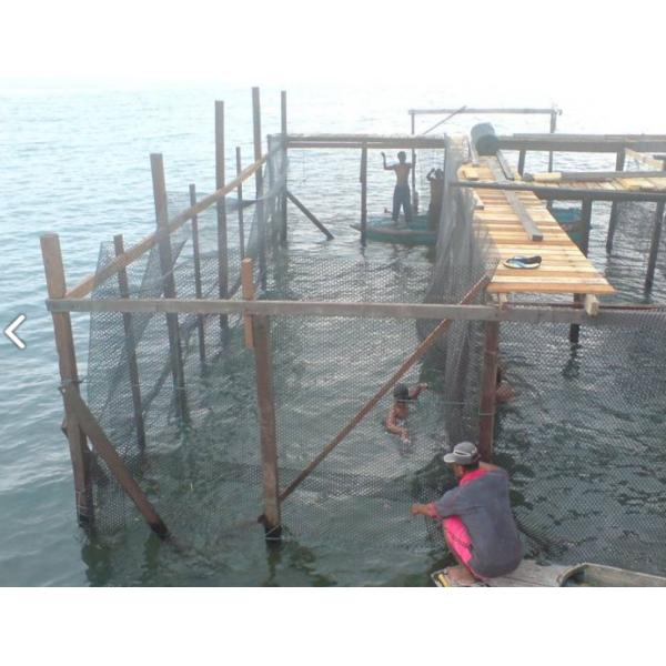 knotless HDPE Monofilament Nylon aquaculture Mesh and Fabric