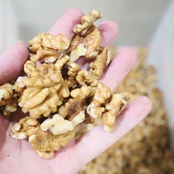 This Compact Walnut Kernel Separating Equipment Offers Small Footprint Design With Easy Quick Installation Process 8 lane