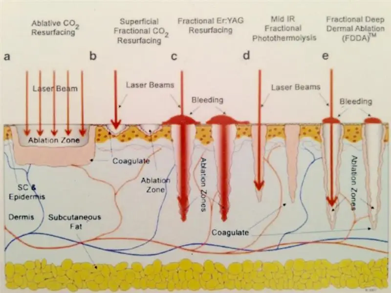 Hot selling signs tech 6040 40w co2 laser cutter price with low price