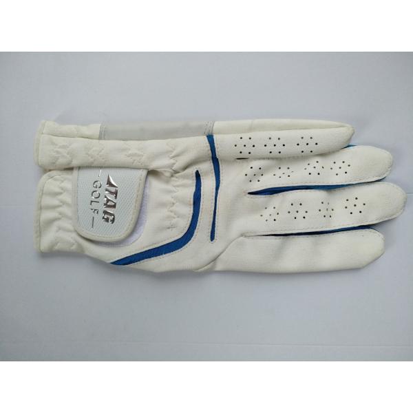 golf glove , golf gloves , glove , gloves