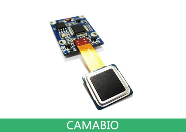 CAMA-AFM31 Module capacitif d'identification d'empreintes digitales pour la sécurité biométrique et les dispositifs d'automatisation