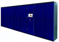 Cacifo automatizado da lavanderia com 24 tinturarias da hora e serviço de entrega da lavanderia
