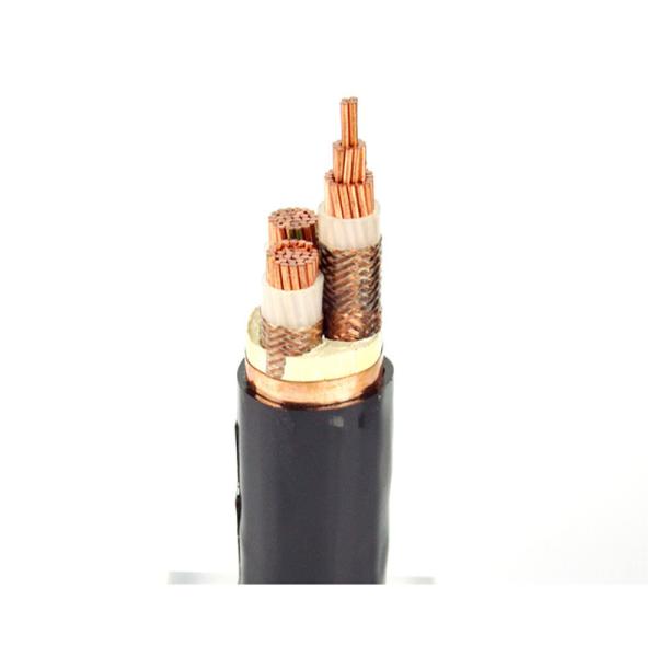                    Exceptional XLPE Insulated Power Cable for Specialized Installations             