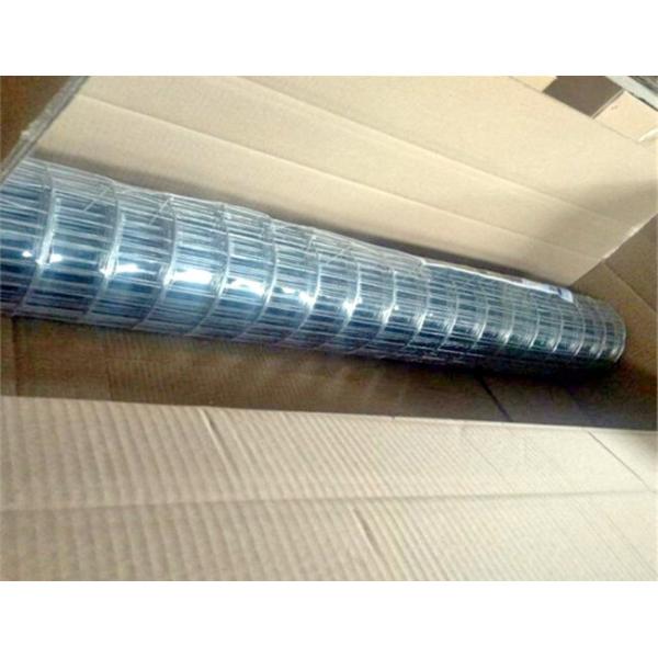 50X50 гальванизировало сваренную ячеистую сеть Rolls доказательство ссадины крена проволочной изгороди в 6 ног