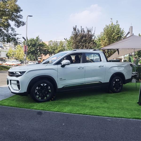 Pickup Truck Radar Adult Electric Utility Vehicle Geely Radar Rd6 Left Steering 200kW/power 100% Electric Car Energy Type