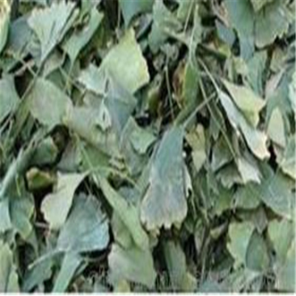 машина опилк 23.5kw более сухая