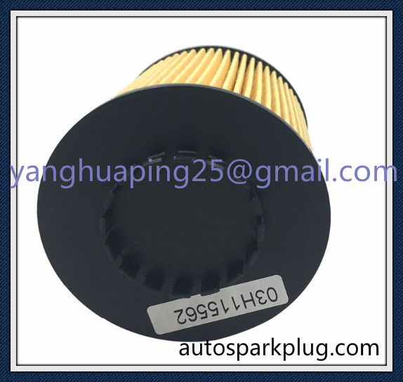 Auto Car Wholesale Oil Filter 03h115562 95810722210 for Volkswagen Touareg, Passat, Cc, Porsche Cayenne, Skoda Superb