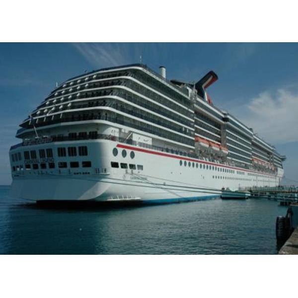 Горизонтальная промышленная термальная тепловая эффективность подогревателя масла энергосберегающая высокая