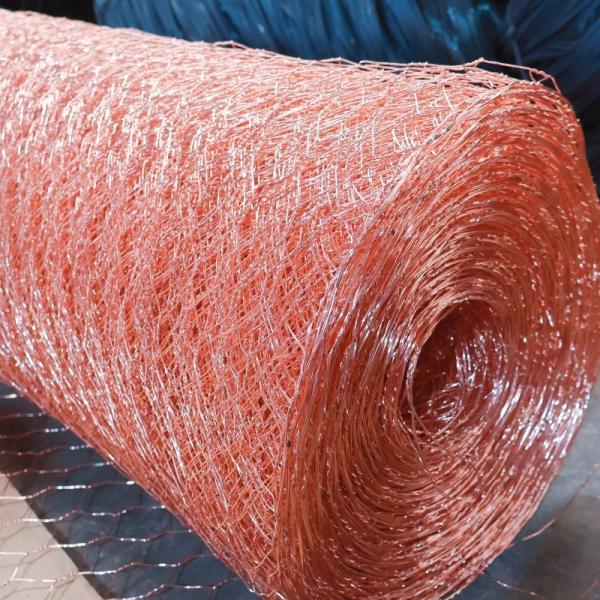 1/2-2 Inch PVC Coated Hexagonal Wire Mesh For Crab Trap Lobster Trap Fish Trap