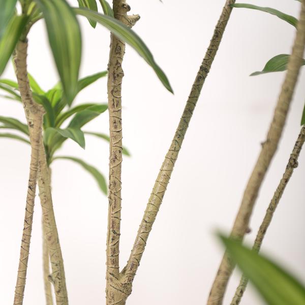 Artificial special-shaped dracaena Reflexa tree green home deco hotel office potted tree