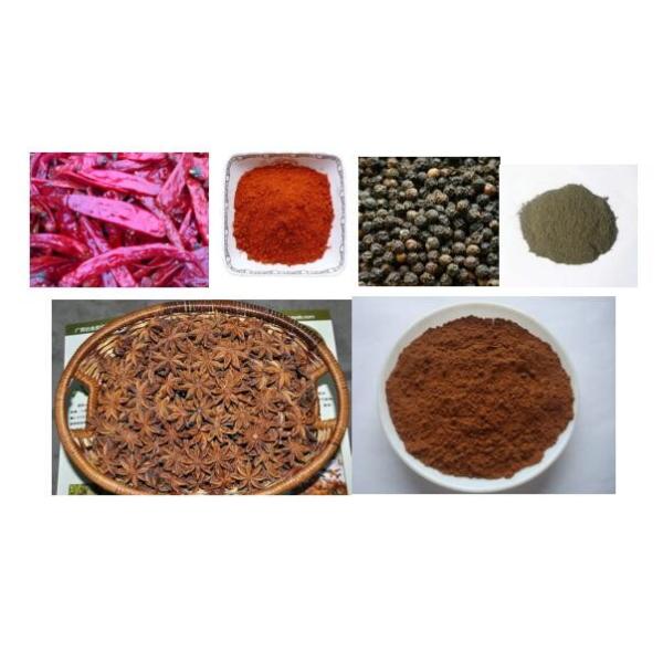 Wheat Grinder Commercial Kitchen Equipment , Coffee Flour Milling Machine