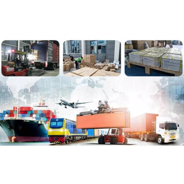 Cross Stainless Steel 316 Socket Weld Fitting 4 Way Connector