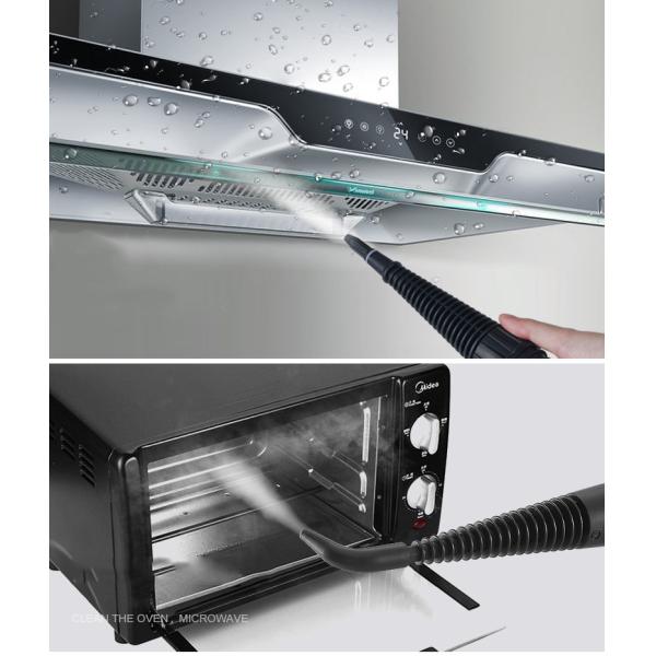 Household Multi-Functional Portable High Pressure Steam Cleaner with High Temperature