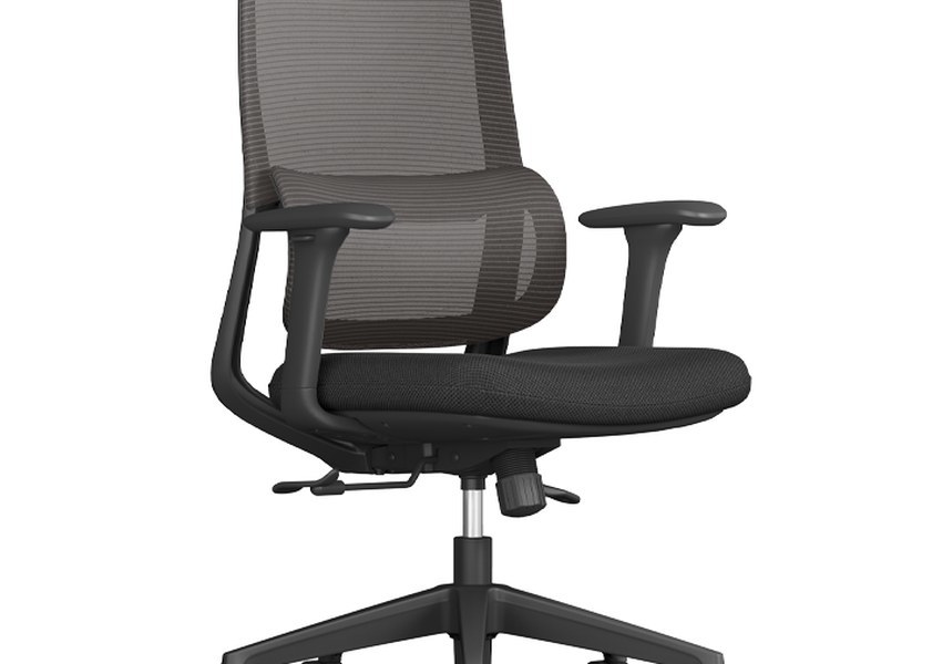 Oppin Task Chair with Dynamic Lumbar Support Head-Neck Support and Double Torsion Spring Mechanism