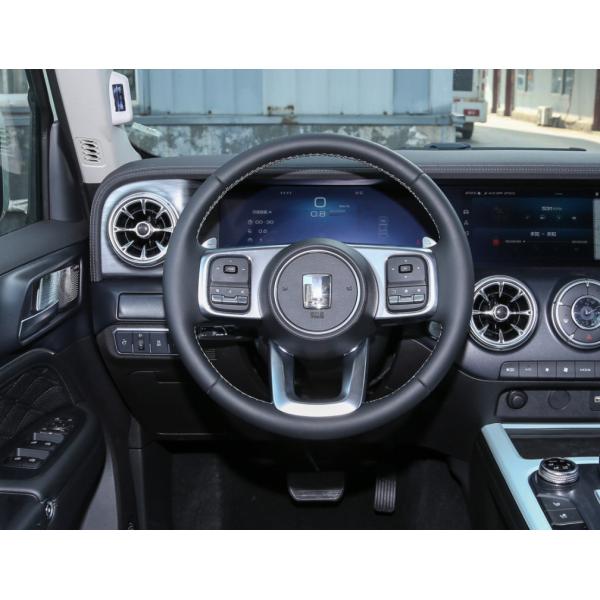 2023 Tank300 2.0T City Model Must Version Compact SUV 5