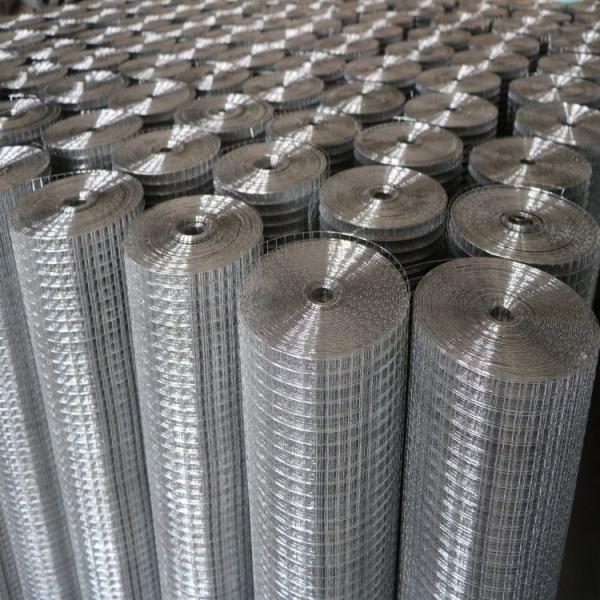 Square Hole 0.8m - 1.5m Height Welded Wire Mesh Rolls PVC Coated For Ram Wire