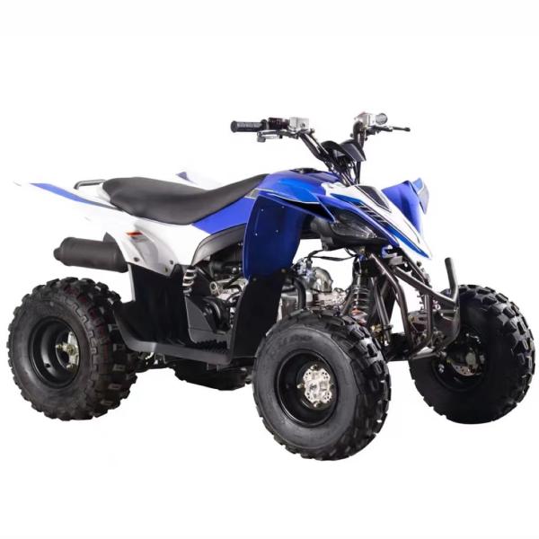 2WD Driving Type 125cc Four Wheeler ATV Bike with Chain Drive Transmission System