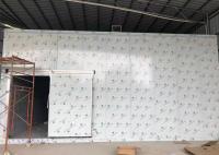 O plutônio do fechamento da came almofada a caminhada no congelador da sala fria para a sala de armazenamento modular da carne da galinha