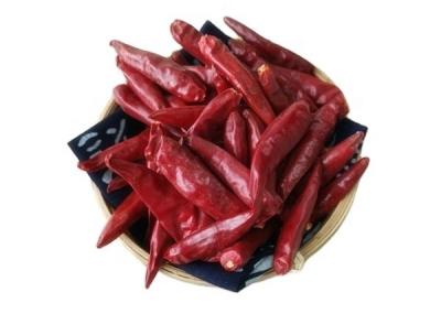 Tientsin secou pimentas vermelhas 15000 SHU Dehydrated Spicy Red Paprika
