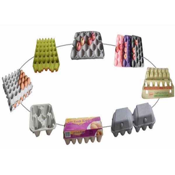 Bandeja del huevo de la pulpa del moldeado que hace la cadena de producción de la bandeja de la fruta de la máquina de una sola capa