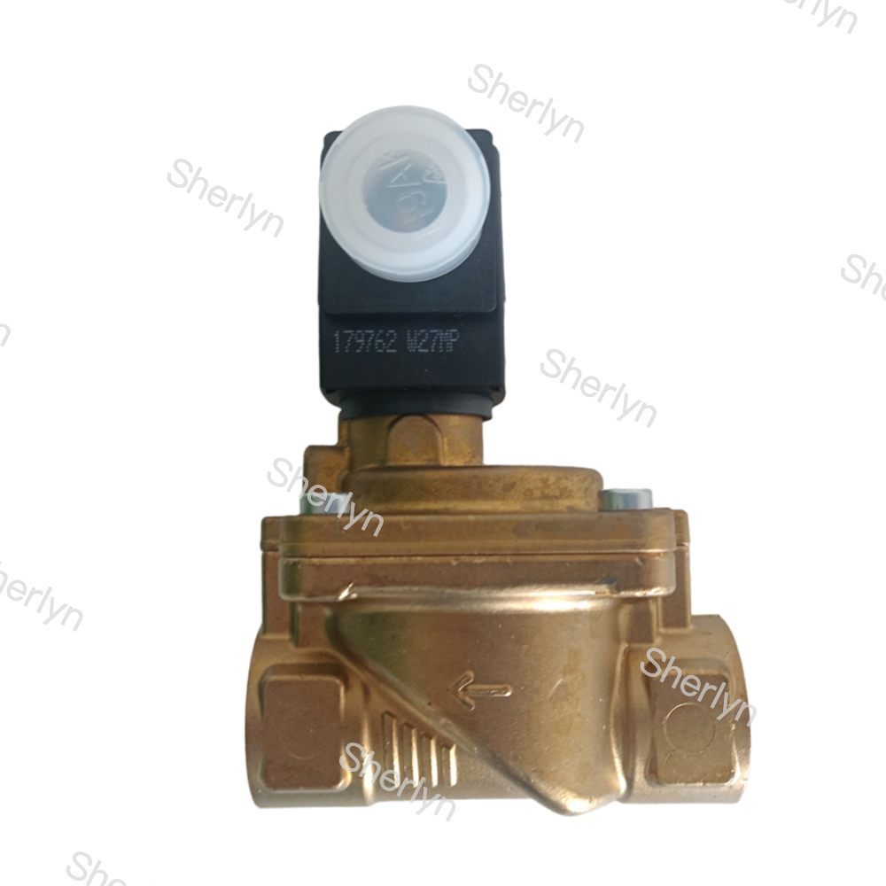 Burkert 00322517 G1/4 EPDM Sealed Brass Valve Body DC24V