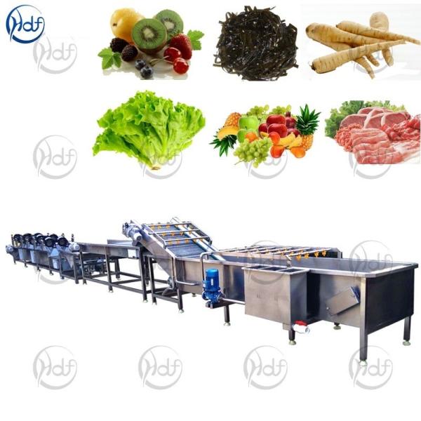 Máquina de lavar vegetal dos vegetais da máquina de lavar da bolha de ar da arruela SUS304 vegetal elétrica