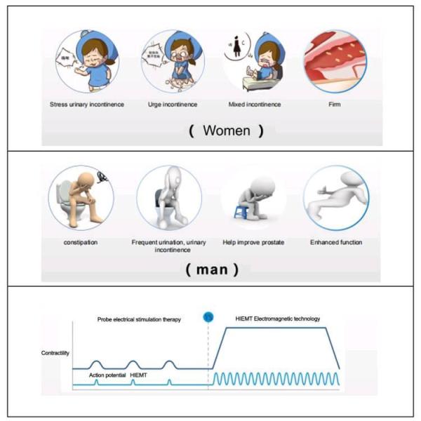 Rectus Abdominis 13 Tesla EMS Muscle Stimulator Machine PRIVATE THERAPY CHAI