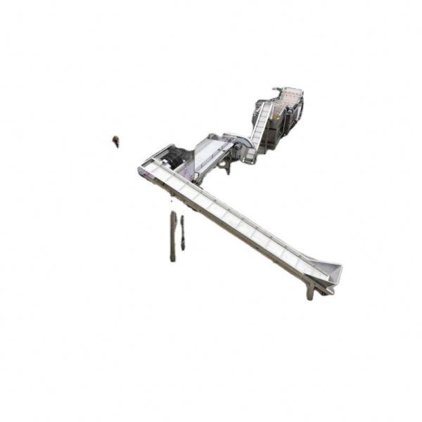 Stainless Steel Commercial Fruit Rolling Grading Machine Potato And Chestnut Sorting Equipment