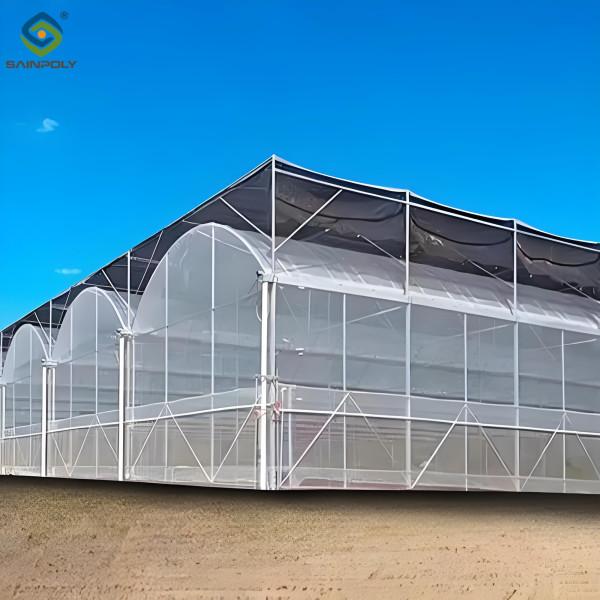 Polycarbonate couvrant la serre à longue portée pour la culture de tomates Serre CE