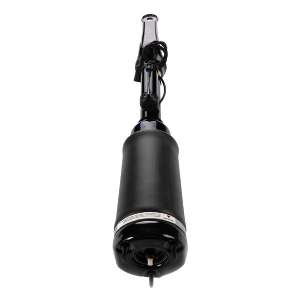 Mercedes Benz W251 Front Air Suspension 2513203013 2513203113 Air Suspension Kits S280 R300 R320 R350 R450 R500 R500