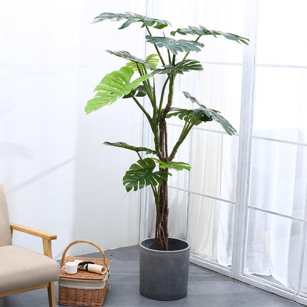 175cm Height Artificial Tropical Tree Green Foliage Plant Monstera For  Decor