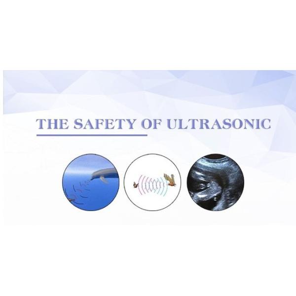 Straight Beam Ultrasound Muscle Treatment Machine 80-106kpa For Pain Reduction