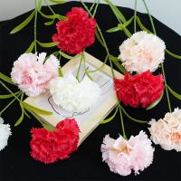 Simulation de fleur à branche unique Kangnaixin cadeau de la fête des mères Simulation de fleur de haute qualité Fleur de soie Décoration de la maison Fleur