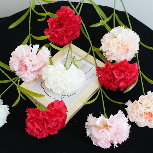 Simulation de fleur à branche unique Kangnaixin cadeau de la fête des mères Simulation de fleur de haute qualité Fleur de soie Décoration de la maison Fleur
